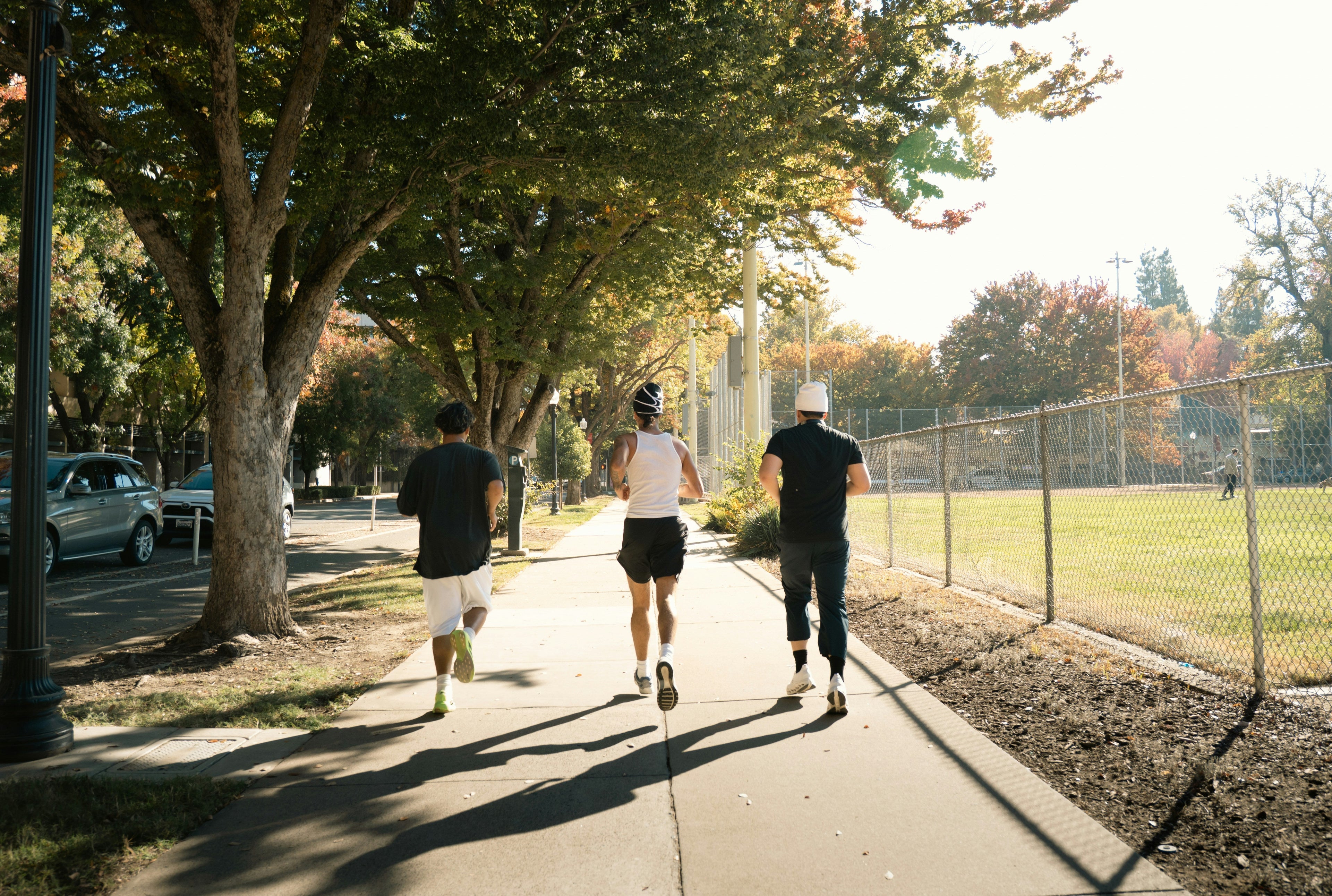 Health & Wellness Guides